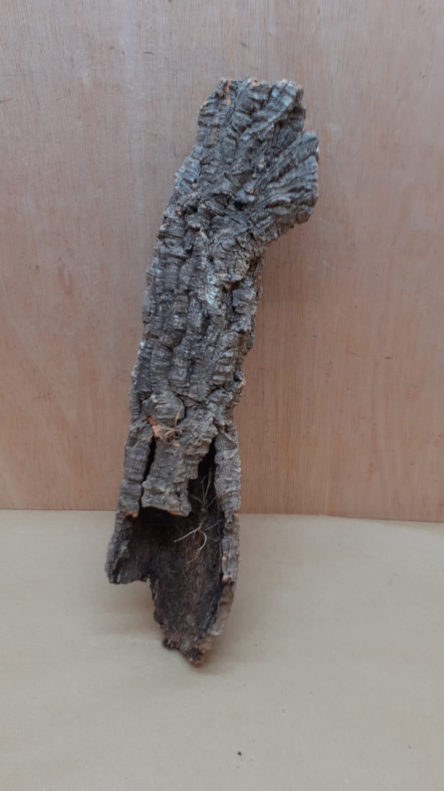 Small Cork Tube - 40-60cm - 12