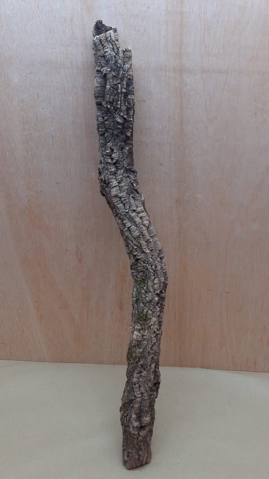Small Cork Tube - 60-80cm - 2