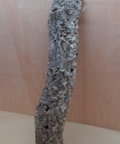 Small Cork Tube - 60-80cm - 3