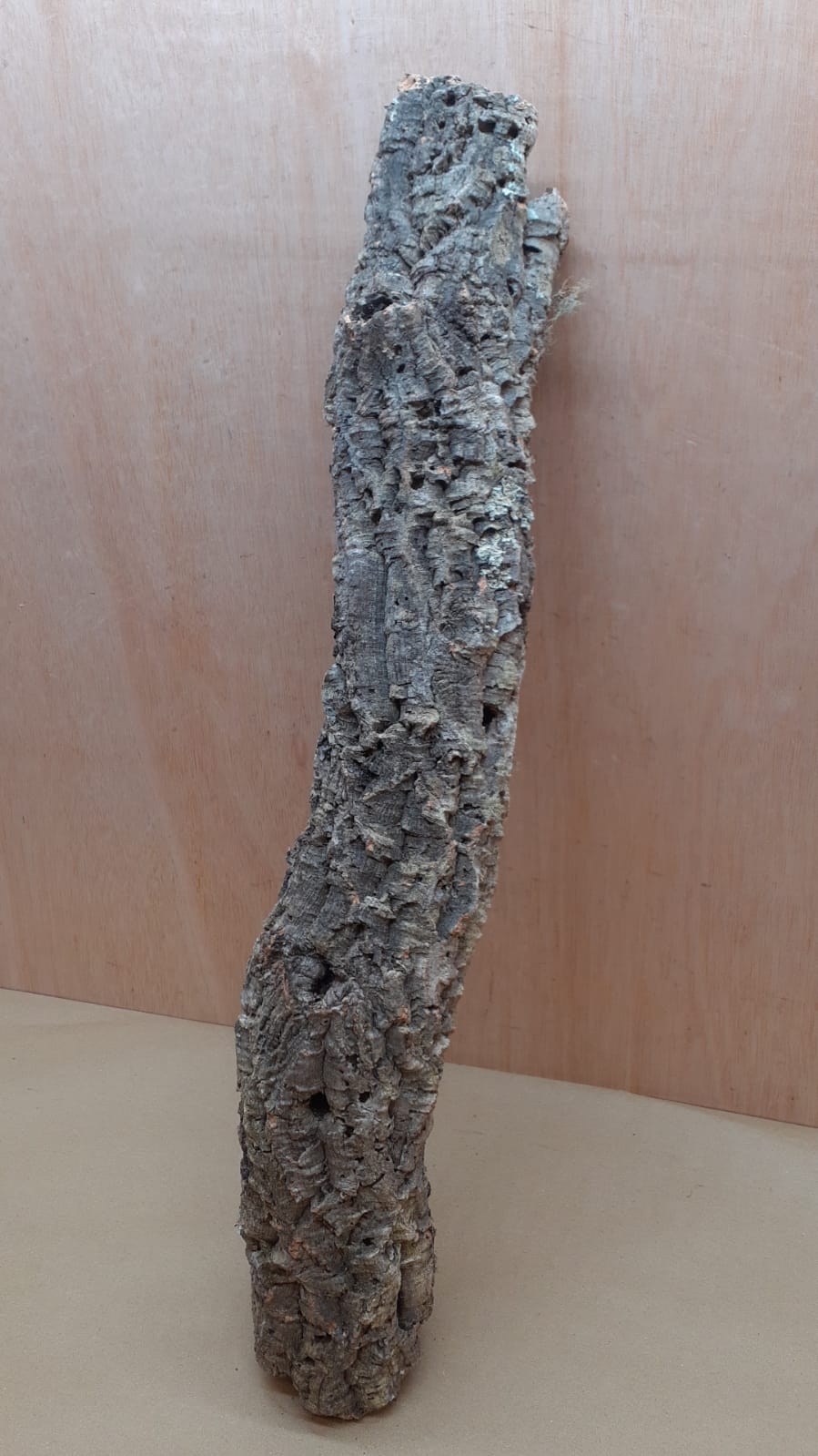 Small Cork Tube - 60-80cm - 3