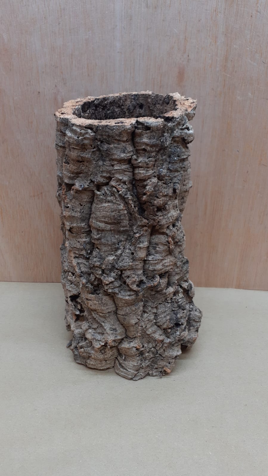 Medium Cork Tube - Upto 40cm - 4
