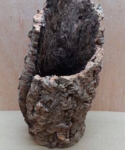 Medium Cork Tube - Upto 40cm - 5