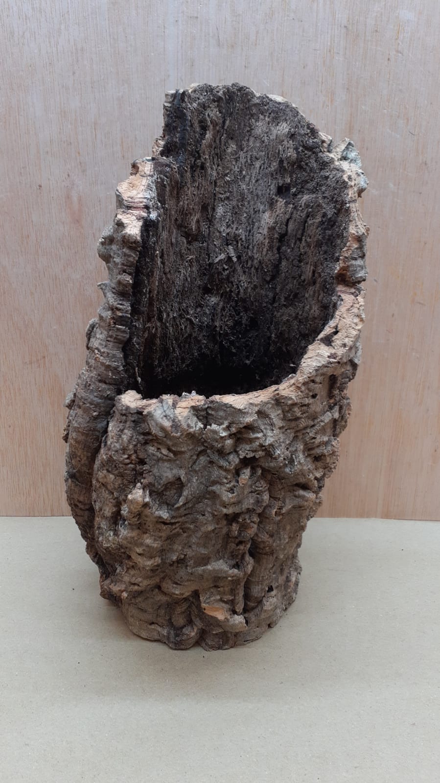 Medium Cork Tube - Upto 40cm - 5