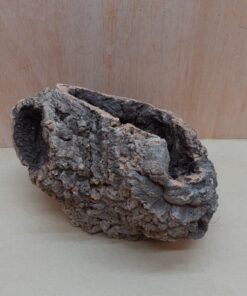 Medium Cork Tube - Upto 40cm - 7