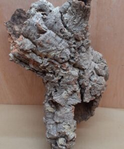 Medium Cork Tube - Upto 40cm - 18