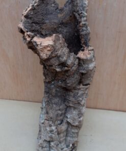 Small Cork Tube - Upto 40cm - 3