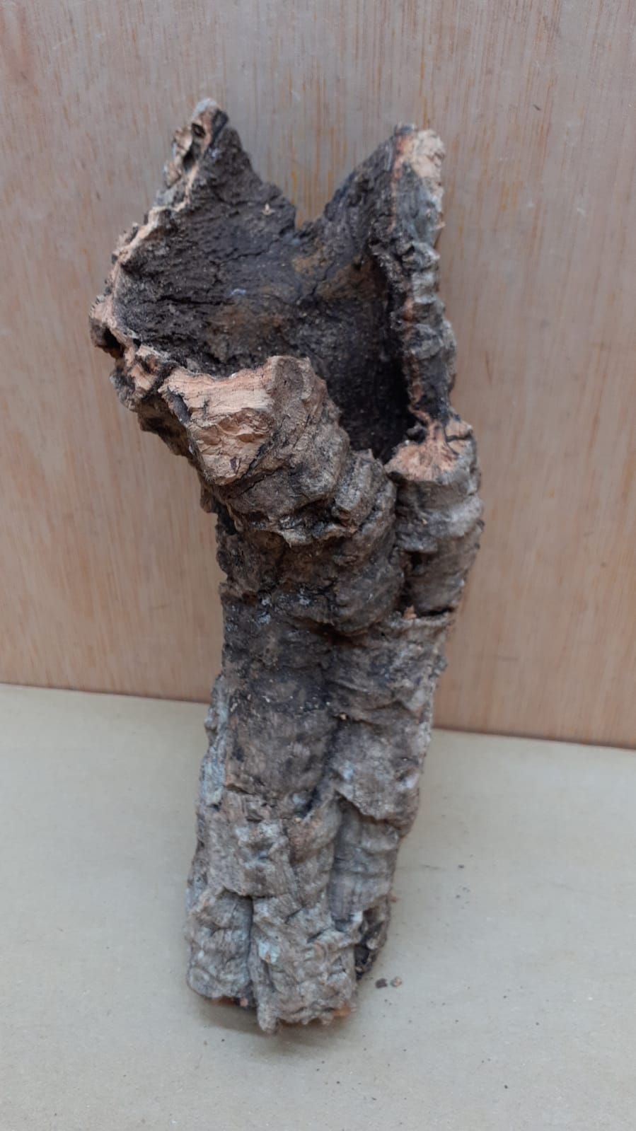 Small Cork Tube - Upto 40cm - 3