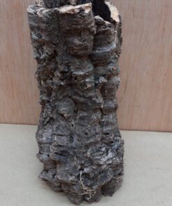 Small Cork Tube - Upto 40cm - 5