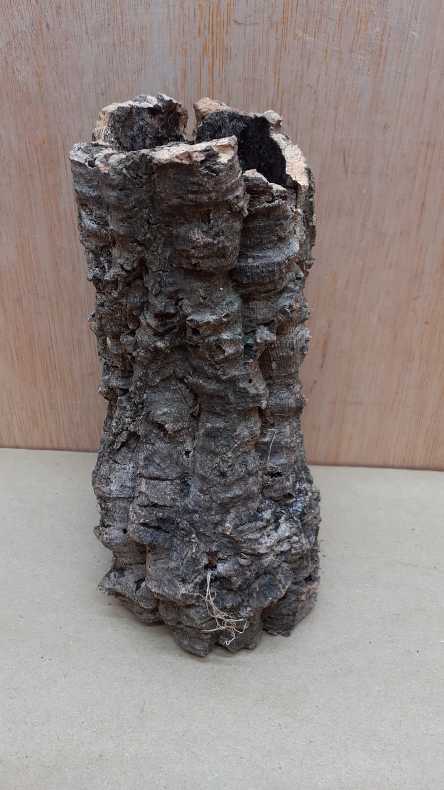 Small Cork Tube - Upto 40cm - 5