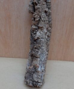 Small Cork Tube - Upto 40cm - 8