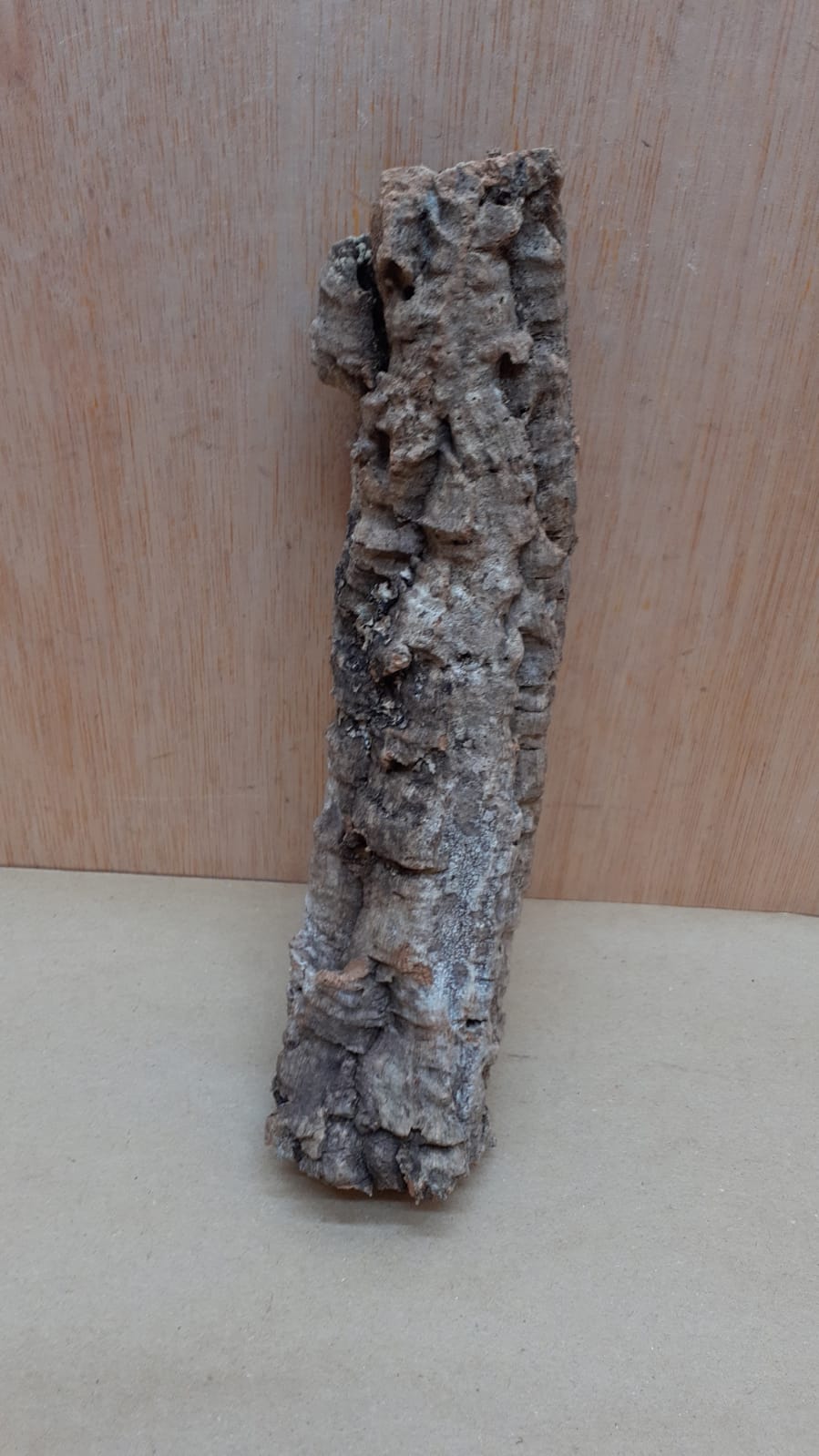 Small Cork Tube - Upto 40cm - 8