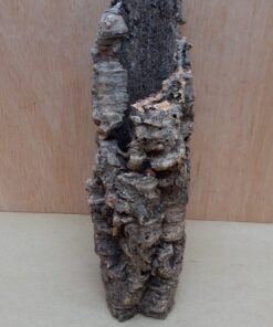 Small Cork Tube - Upto 40cm - 10