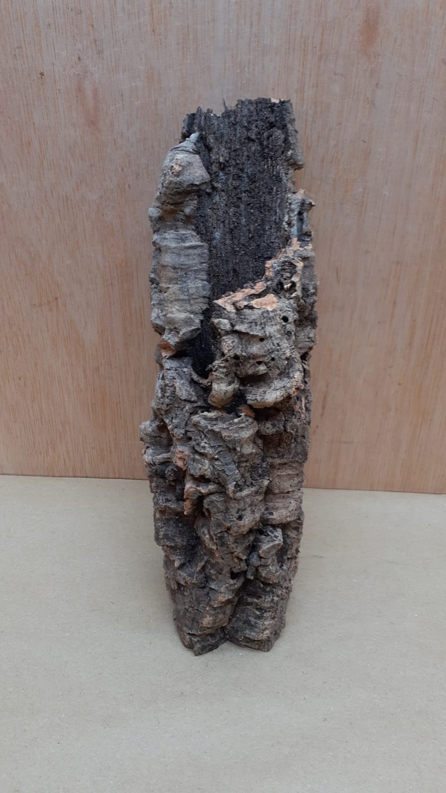 Small Cork Tube - Upto 40cm - 10
