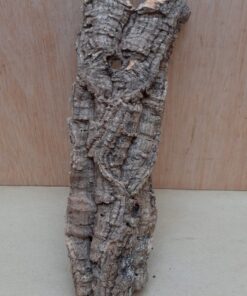 Small Cork Tube - Upto 40cm - 11