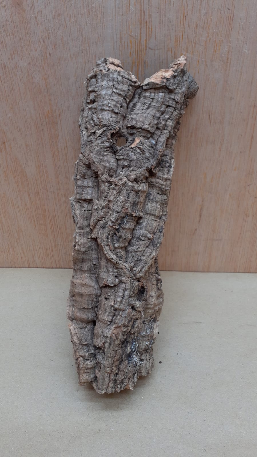 Small Cork Tube - Upto 40cm - 11