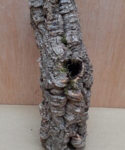 Small Cork Tube - Upto 40cm - 13