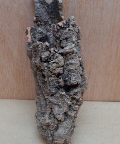 Small Cork Tube - Upto 40cm - 15