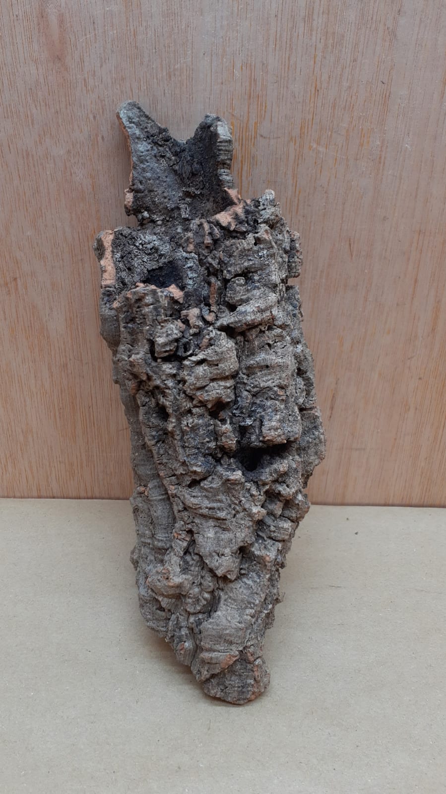 Small Cork Tube - Upto 40cm - 15