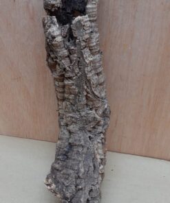 Small Cork Tube - Upto 40cm - 17