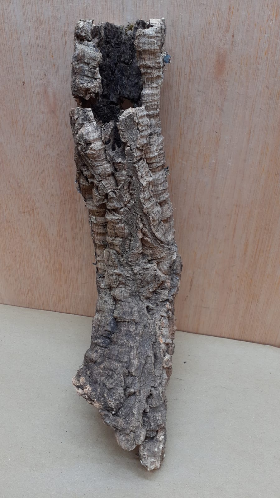 Small Cork Tube - Upto 40cm - 17