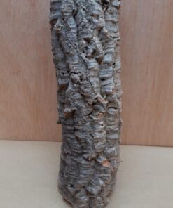 Small Cork Tube - Upto 40cm - 18