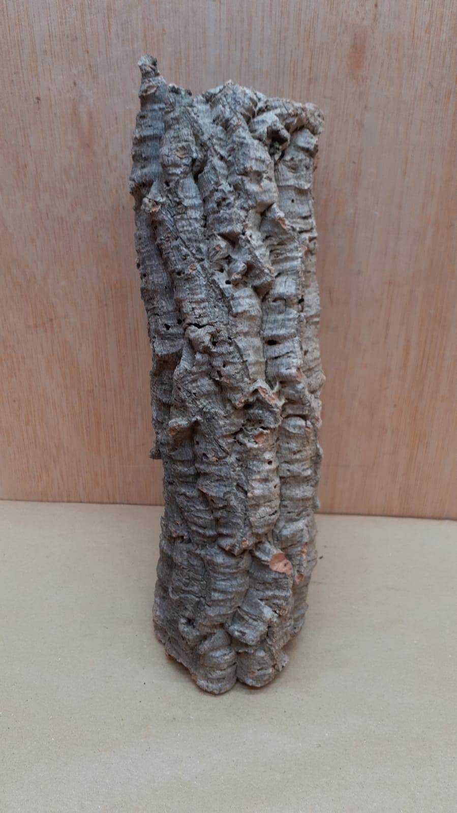 Small Cork Tube - Upto 40cm - 18