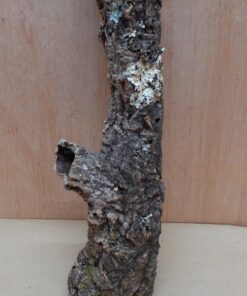 Small Cork Tube - Upto 40cm - 20