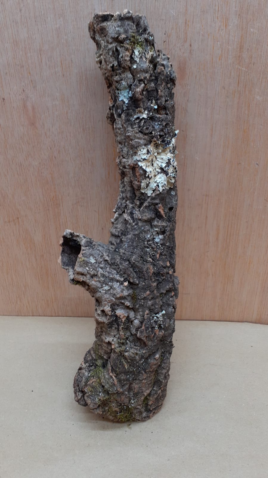 Small Cork Tube - Upto 40cm - 20