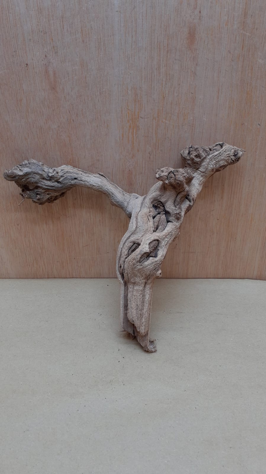 Sandblasted Grapevine - Small 10
