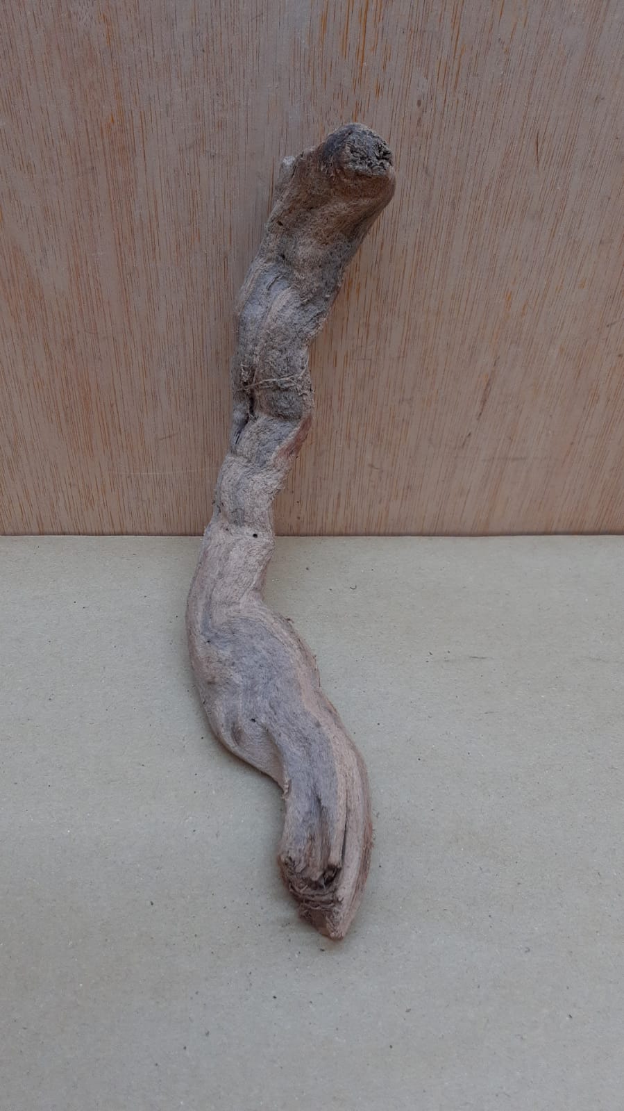 Sandblasted Grapevine - Small 16