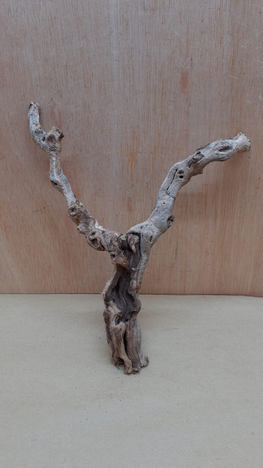 Sandblasted Grapevine - Small 18