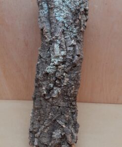 Small Cork Tube - 40-60cm - 14