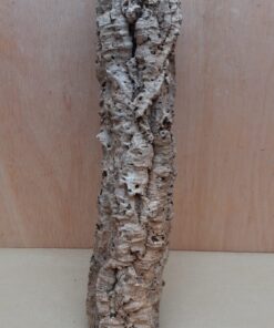 Small Cork Tube - 40-60cm - 2