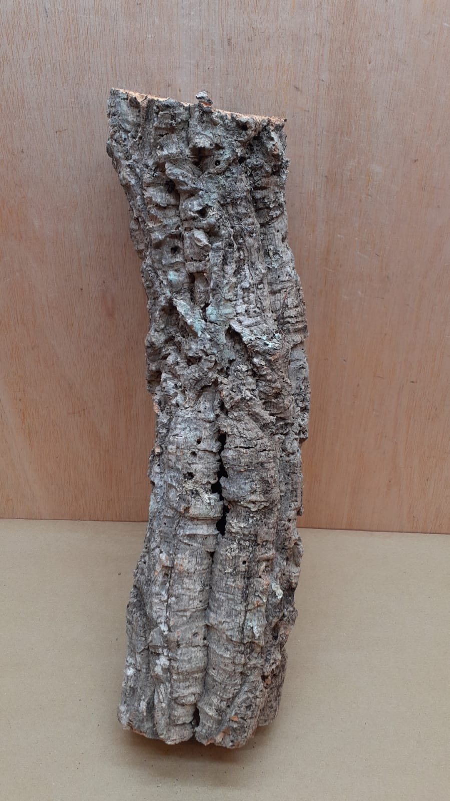 Small Cork Tube - 40-60cm - 8