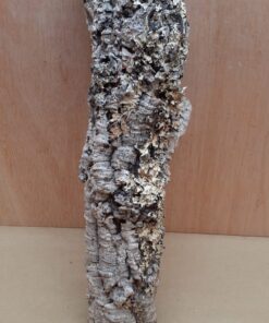 Small Cork Tube - 40-60cm - 9