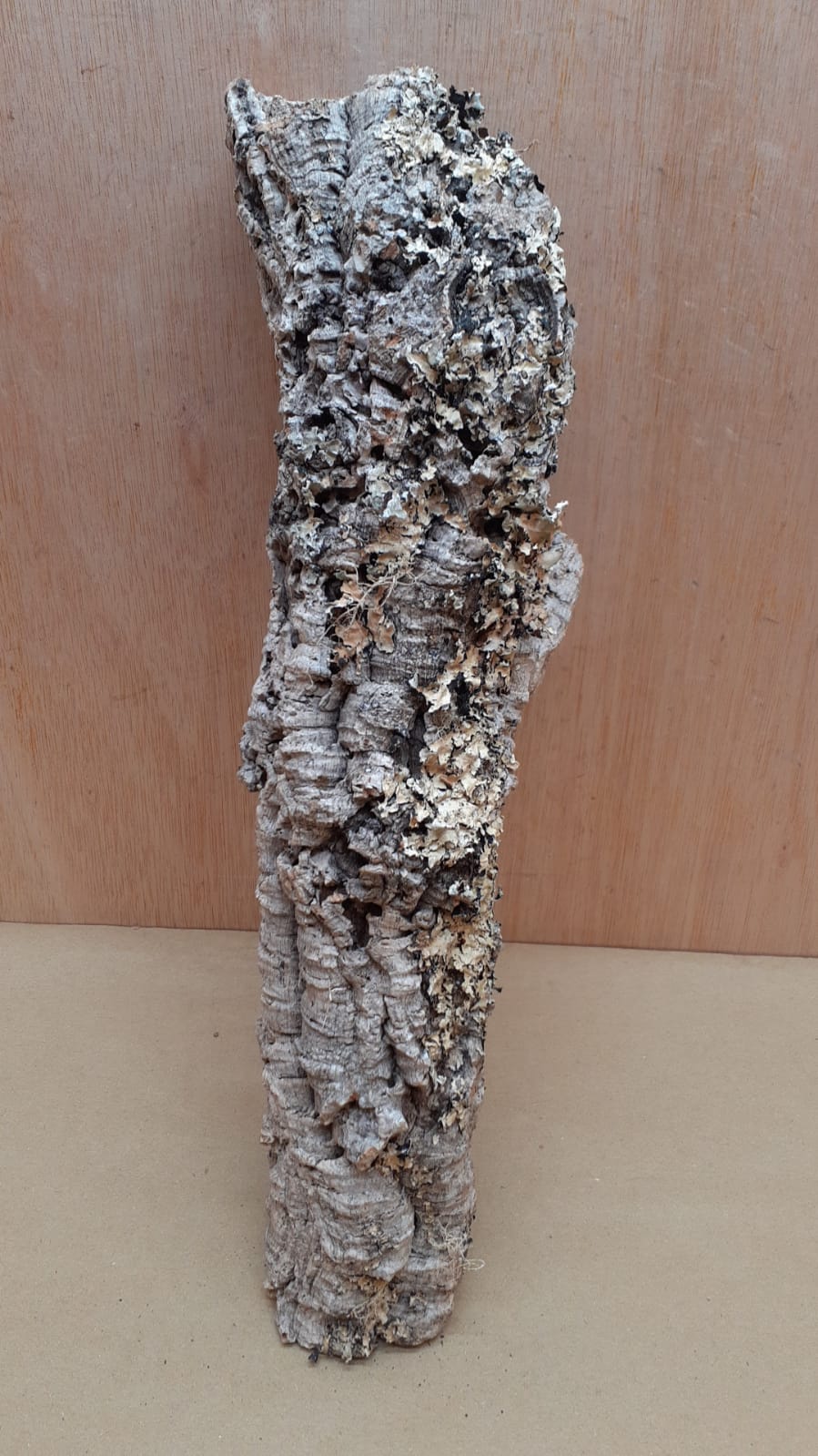 Small Cork Tube - 40-60cm - 9