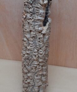 Small Cork Tube - 40-60cm - 10