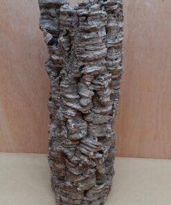 Medium Cork Tube - 40-60cm - 8
