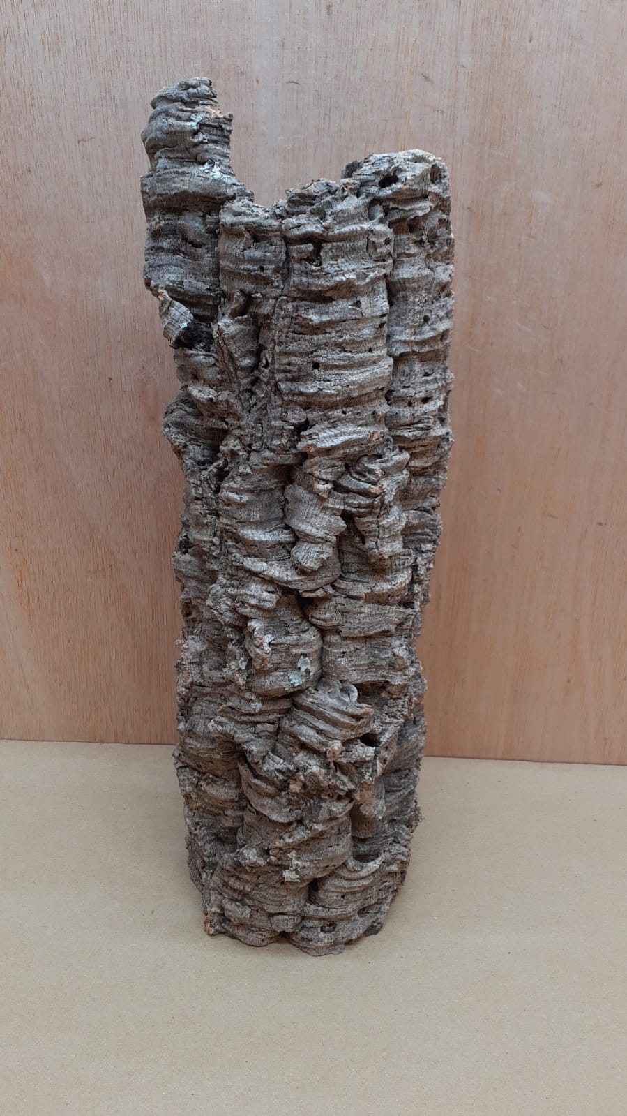 Medium Cork Tube - 40-60cm - 8