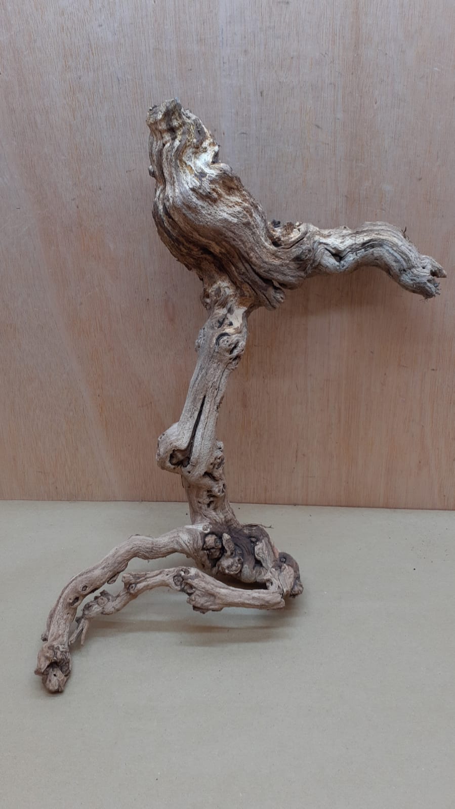 Sandblasted Grapevine - Medium 12