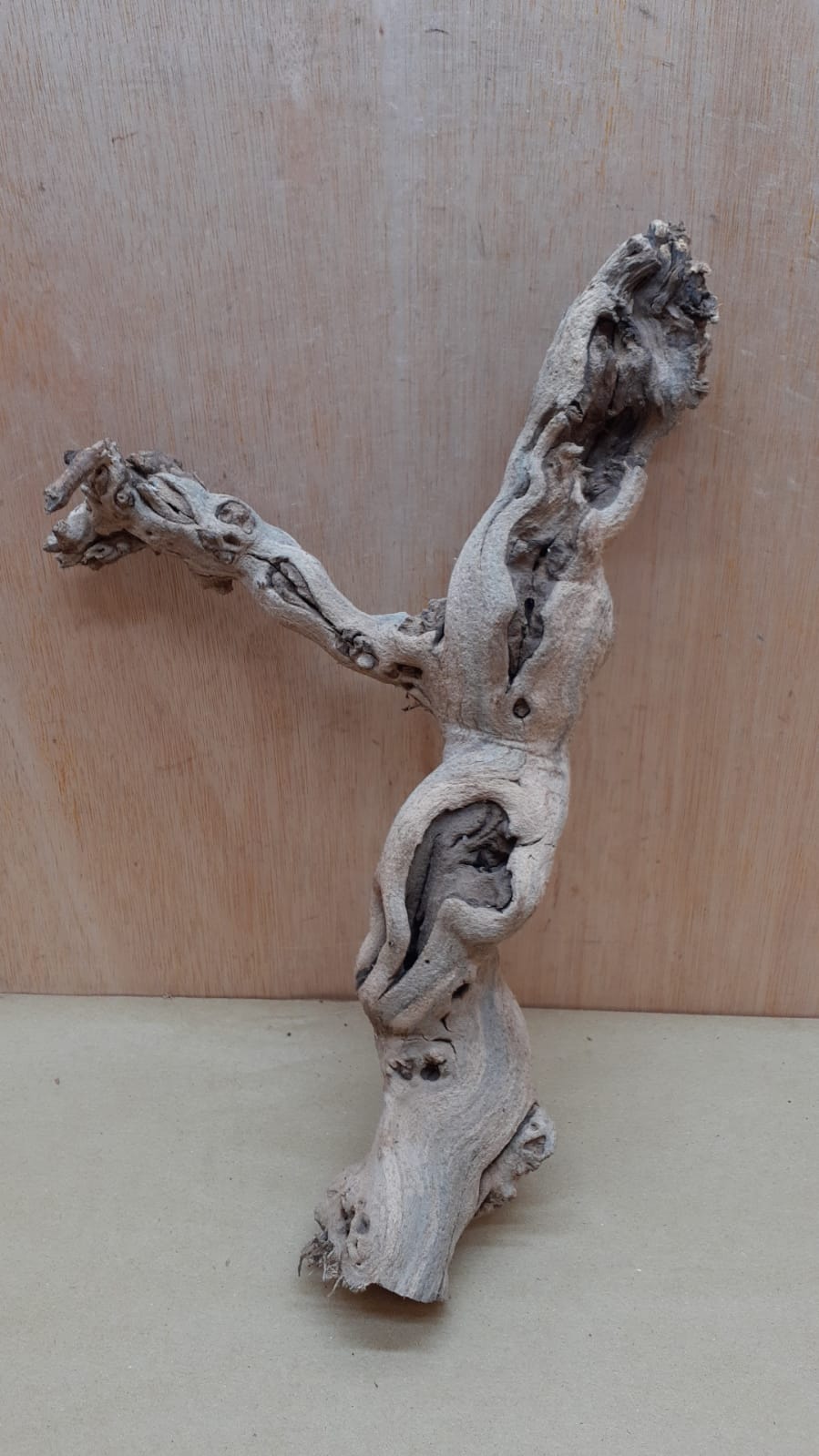 Sandblasted Grapevine - Small 17