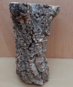 Medium Cork Tube - Upto 40cm - 2