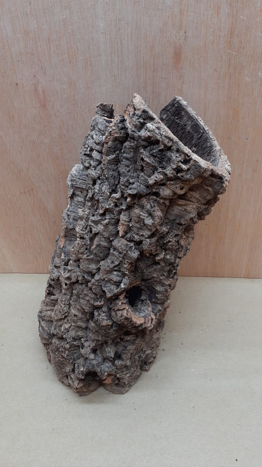 Medium Cork Tube - Upto 40cm - 10