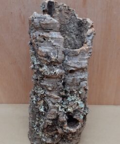 Medium Cork Tube - Upto 40cm - 11