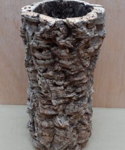 Medium Cork Tube - Upto 40cm - 12
