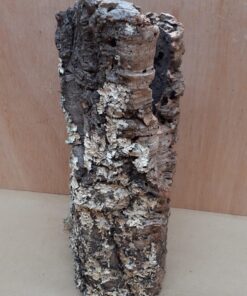 Medium Cork Tube - Upto 40cm - 15