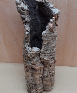 Medium Cork Tube - Upto 40cm - 16
