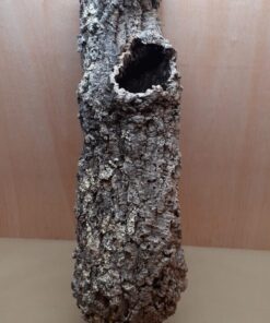 Large Cork Tube - 80-110cm - 2