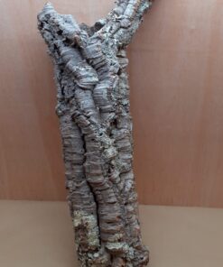 Large Cork Tube - 80-110cm - 4