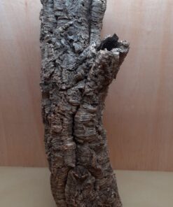Large Cork Tube - 80-110cm - 5